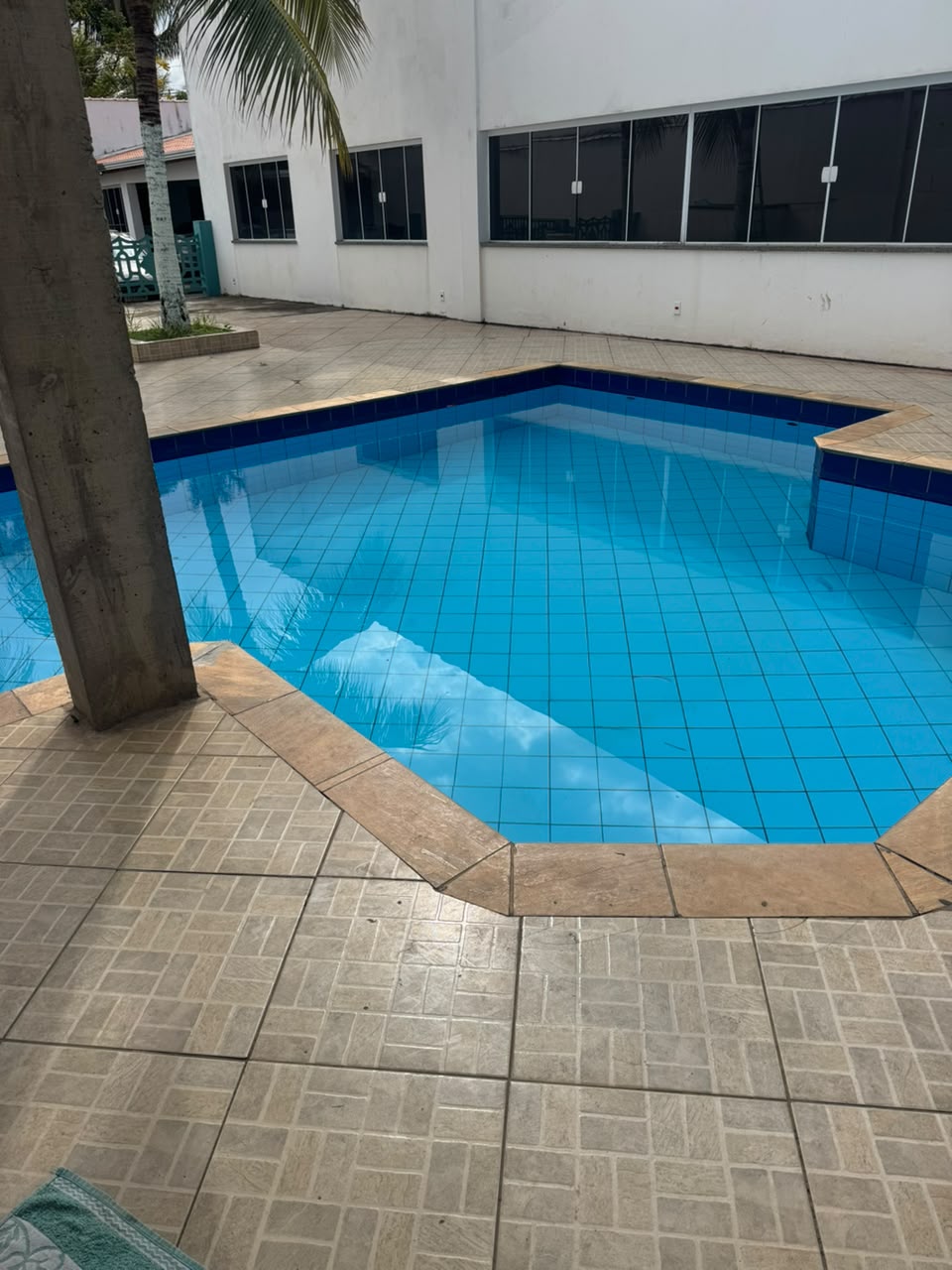 Piscina azul da chácara vista com palmeira em primeiro plano e edifício branco ao fundo